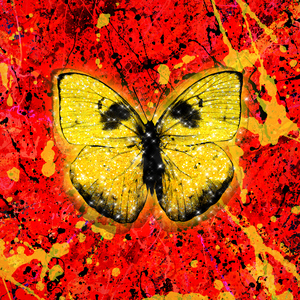 男女交接性生活视频大全
