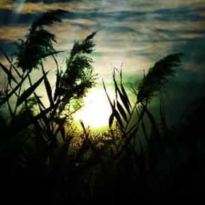 男女交接性生活视频大全
